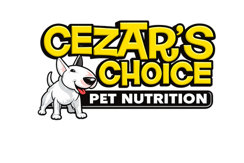 Introducing Cezars Choice to Everything Dachshund