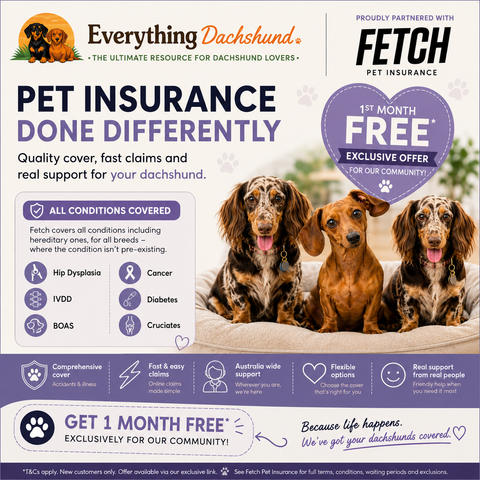 Fetch Pet Insurance