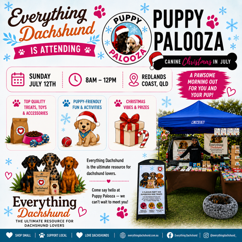 Puppy Palooza - Canine Christamas in July