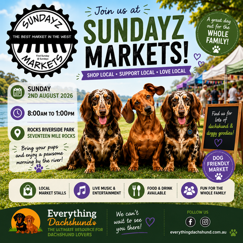 Sundayz Market - August 2026