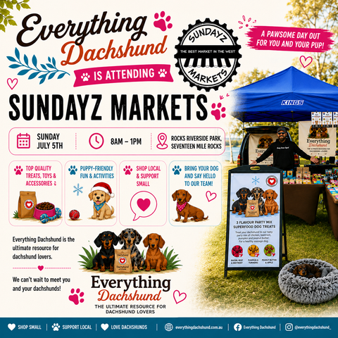 Sausage Dogs, Treats & Tail Wags at Sundayz Markets