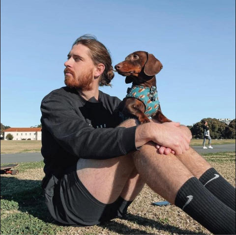 Darcy's Picks