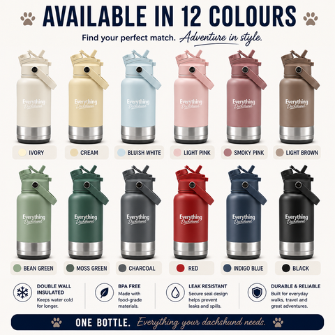 Adventure Buddy 3-in-1 Insulated Dog Water Bottle & Treat Container (1000ml)