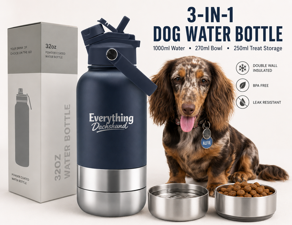 Adventure Buddy 3-in-1 Insulated Dog Water Bottle & Treat Container (1000ml)