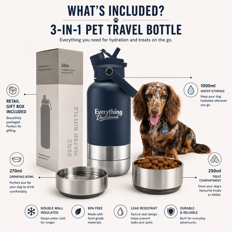 Adventure Buddy 3-in-1 Insulated Dog Water Bottle & Treat Container (1000ml)