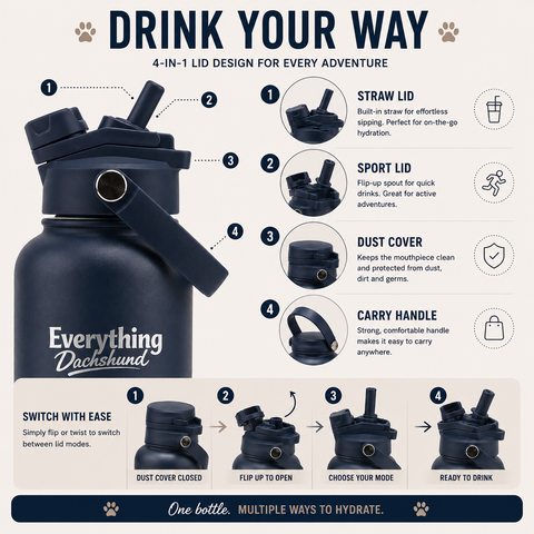 Adventure Buddy 3-in-1 Insulated Dog Water Bottle & Treat Container (1000ml)
