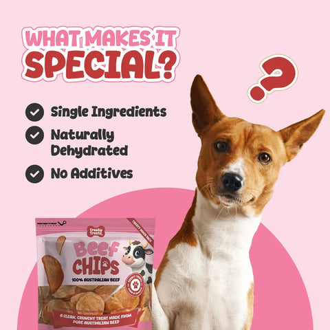 Beef Chips | Single ingredient Human Grade Meat Treats