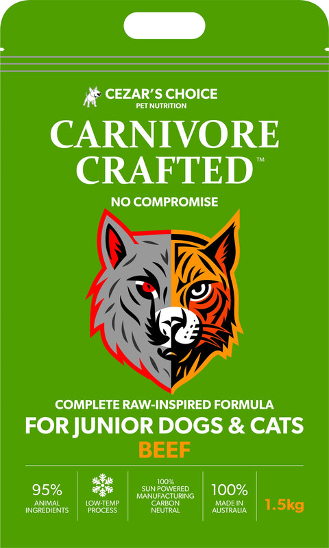 Carnivore Created - Junior - Beef