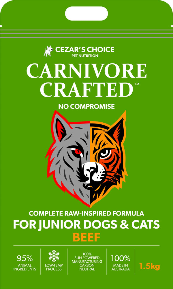Carnivore Created - Junior - Beef