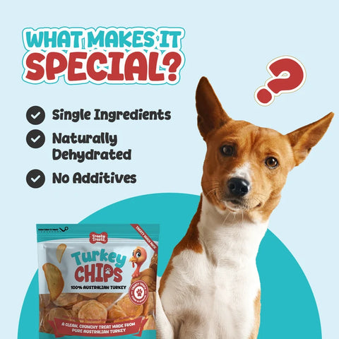 Turkey Chips | Single ingredient Human Grade Meat Treats