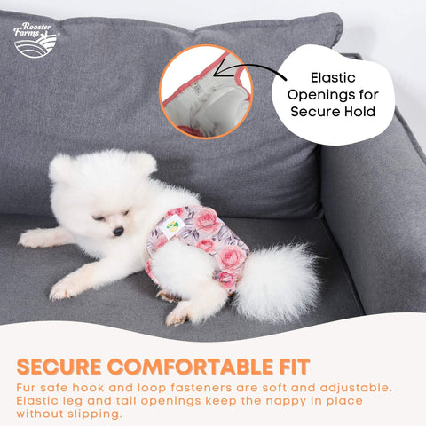 Rooster Farms Female Dog Diapers Small 3Pk - Washable Reusable Nappies Hook/Loop