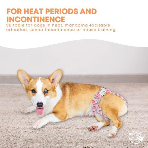 Rooster Farms Female Dog Diapers Small 3Pk - Washable Reusable Nappies Hook/Loop