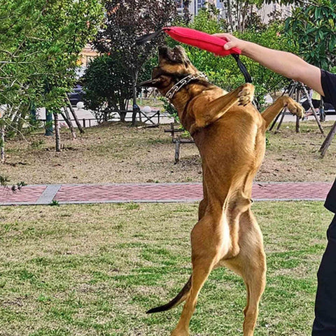 Cloth Bite Stick Teether Dog Training Bite Stick Durable Chew Toy for Pets