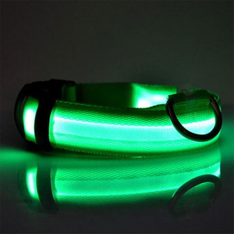 L Size USB Rechargeable LED Dog Collar Nylon Glow Flashing Light Up Neck Strap - Pink