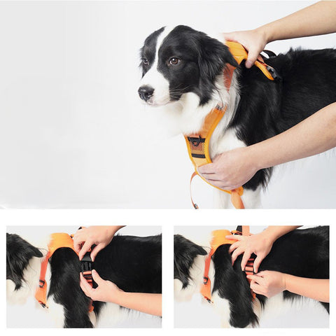 Vibe Geeks Ultimate 2-in-1 Reflective No-pull Dog Harness with Retractable Leash and Control Handle - Blue - L