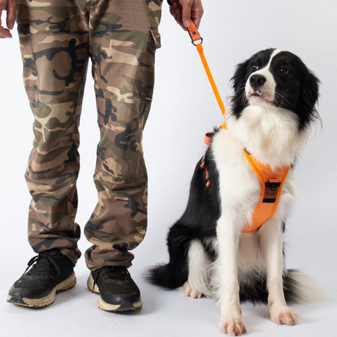 Vibe Geeks Ultimate 2-in-1 Reflective No-pull Dog Harness with Retractable Leash and Control Handle - Orange - Xl