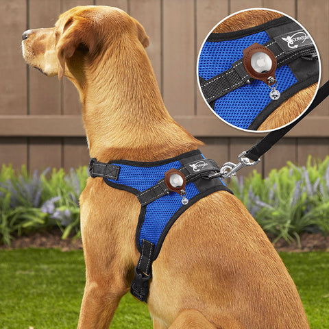 M Black Secure Nylon Dog Collar with Built-in Apple AirTag (not included) Holder Case - Pet Tracker Accessory