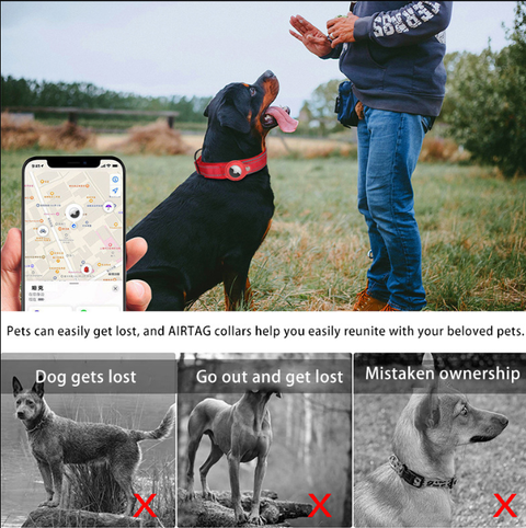 S Pink Secure Nylon Dog Collar with Built-in Apple AirTag (not included) Holder Case - Pet Tracker Accessory