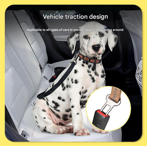 Grey Shock Absorbing Dog Leash with Reflective Stitching - 135cm for Small to Large Dogs