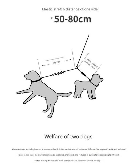 Black Pet Double-Ended Rope + 1.5M Leash - Easy to walk two dogs, tangle-free design