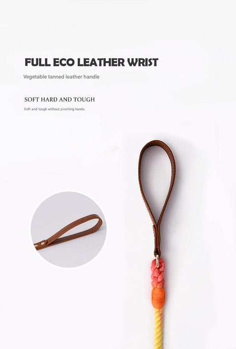 Premium Leather Pet Collar and Leash - Soft, Strong Braided Rope (Pink Purple - Size S)