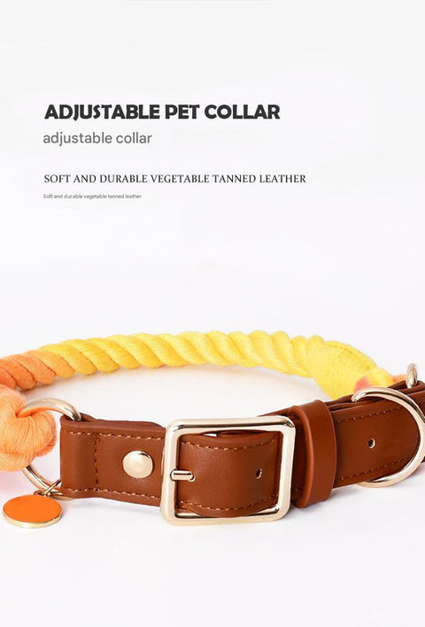 Premium Leather Pet Collar and Leash - Soft, Strong Braided Rope (Dark gray - Size M)
