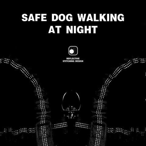 Blue 3-in-1 Tangle-Free Dog Leash for 1-3 Dogs - Heavy Duty Bungee Coupler with Reflective Stitching & Padded Handle