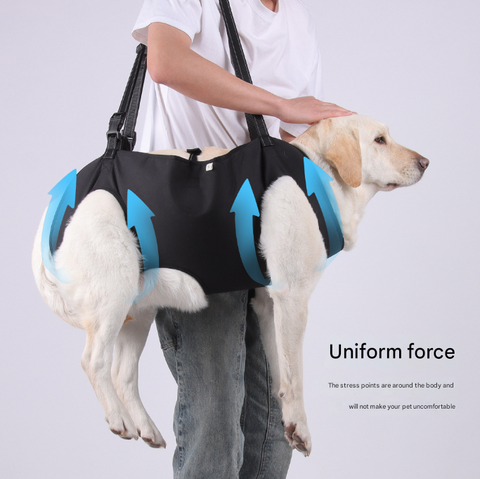 Green Pet Support Harness for Senior and Disabled Dogs - Adjustable Chest and Back Support Leash(Size S)