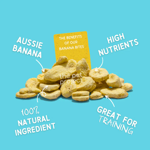 Banana Bites