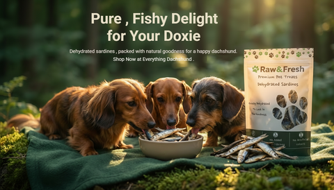 Three dachshunds eating from a bowl with a package of Raw & Fresh Dehydrated Sardines on a green blanket outdoors.