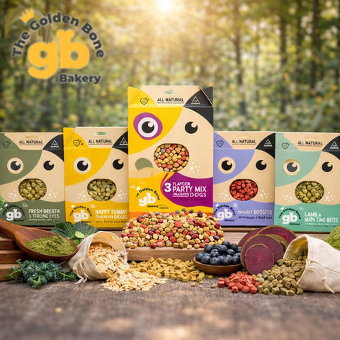 Australia's Best Superfood Dog Treats