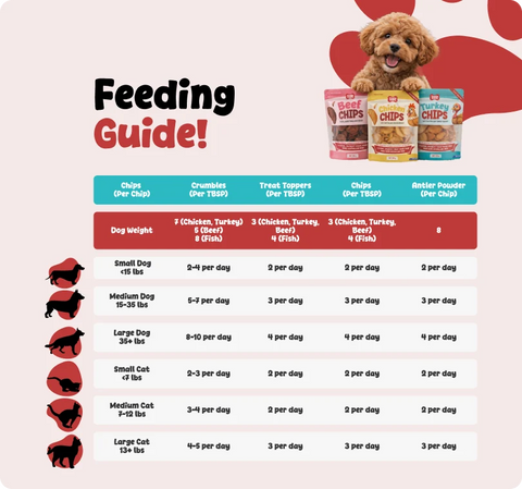 Chicken Chips | Single ingredient Human Grade Meat Treats