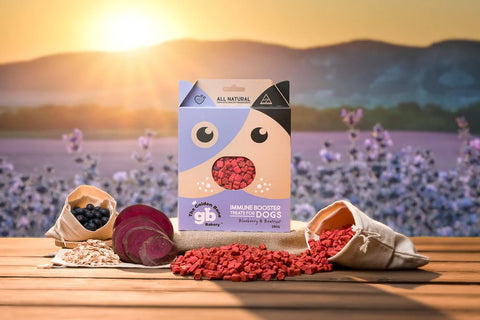 Immune Booster Dog Treats with Blueberries