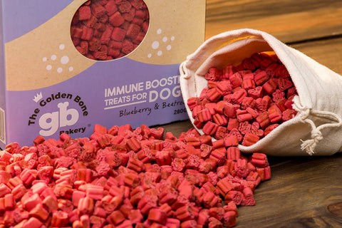 Immune Booster Dog Treats with Blueberries