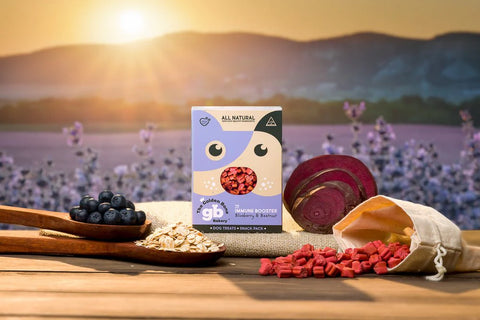 Immune Booster Dog Treats SNACK PACKS