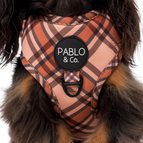 Kensington: Adjustable Harness