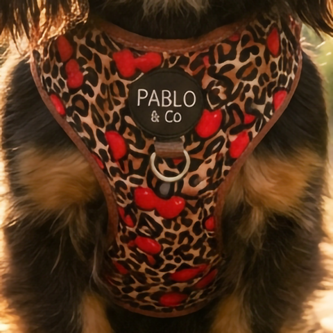 Leopard Cherries: Adjustable Harness