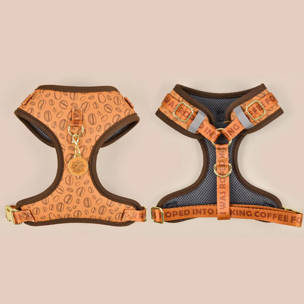Coffee Bean: Adjustable Harness