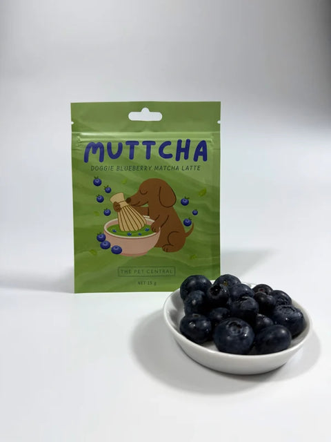 Blueberry Muttcha® - Doggie Blueberry Matcha Latte