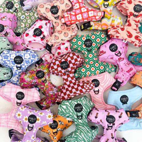 Fashionable & Practical Accessories