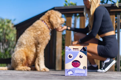 Immune Booster Dog Treats with Blueberries