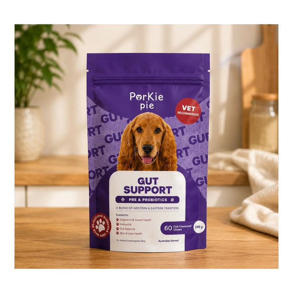 Gut Support