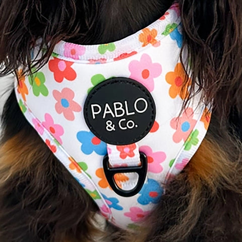 Posy: Adjustable Harness
