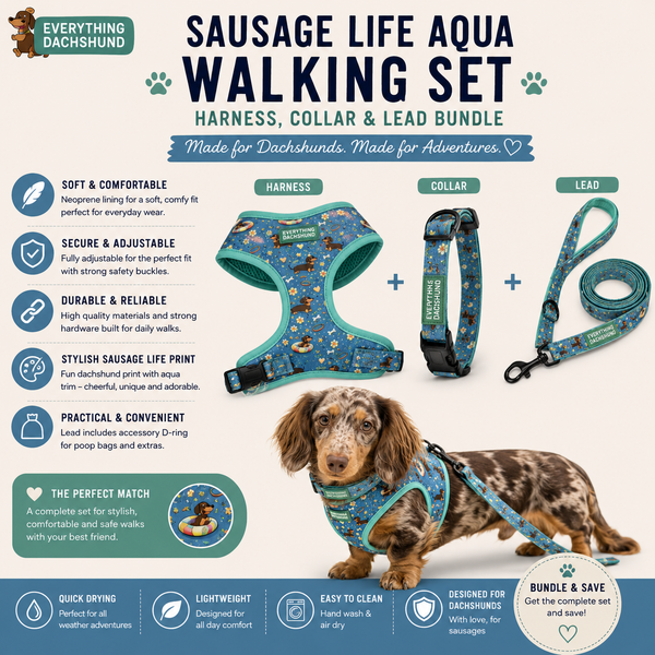 Sausage Life Walking Set - Aqua