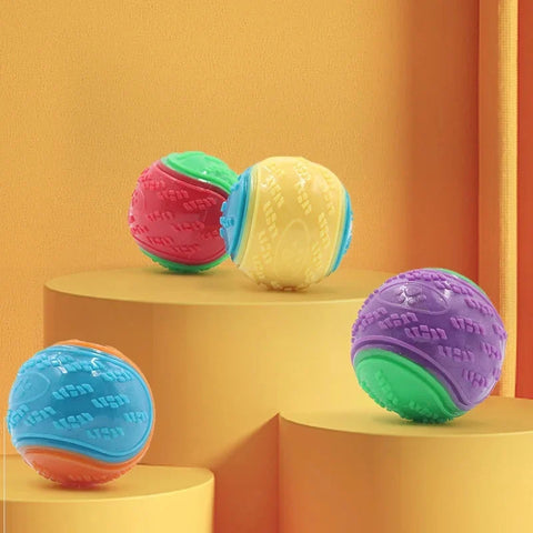 Squeaky Dog Ball
