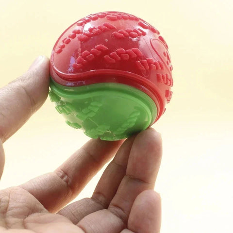Squeaky Dog Ball