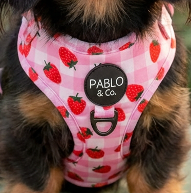 Strawberry Fields: Adjustable Harness