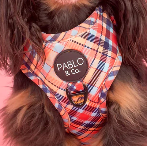 Tartan: Adjustable Harness