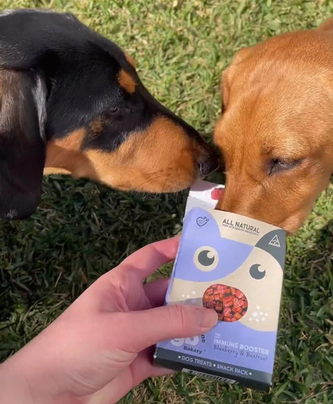 Immune Booster Dog Treats SNACK PACKS